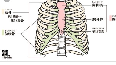 肋軟骨 骨折？