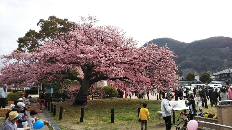 防府市の向島小学校