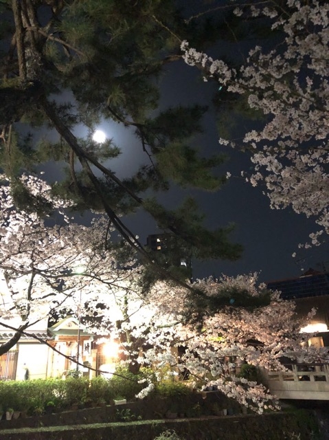 月、松、桜！笑