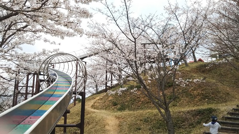 野外市民活動公園へ