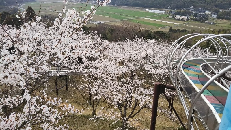 山の上なので眺めが最高です！