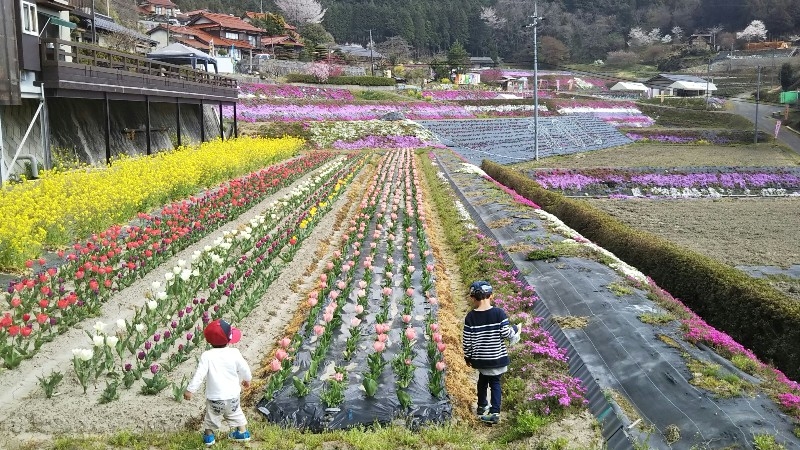 色の違いを楽しむ🎵