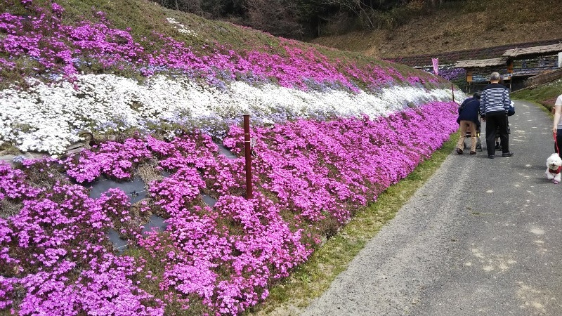 実はまだまだでした❗️