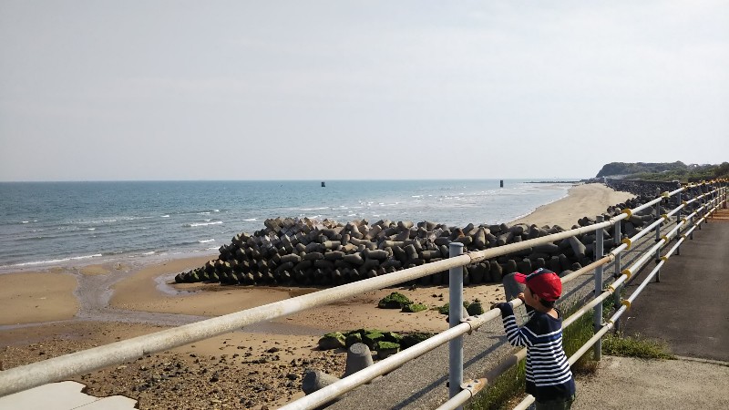 海の産物