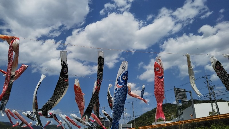 仁保の道の駅へ寄り道🎏