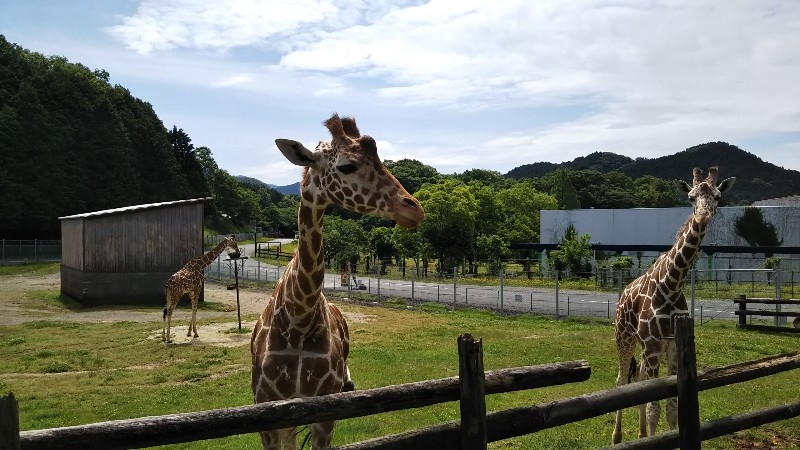 日常を忘れる日🍀