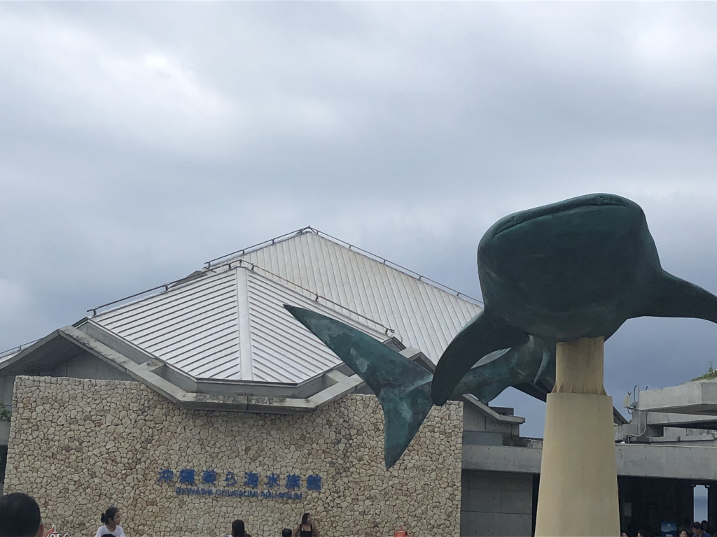 美ら海水族館🐠