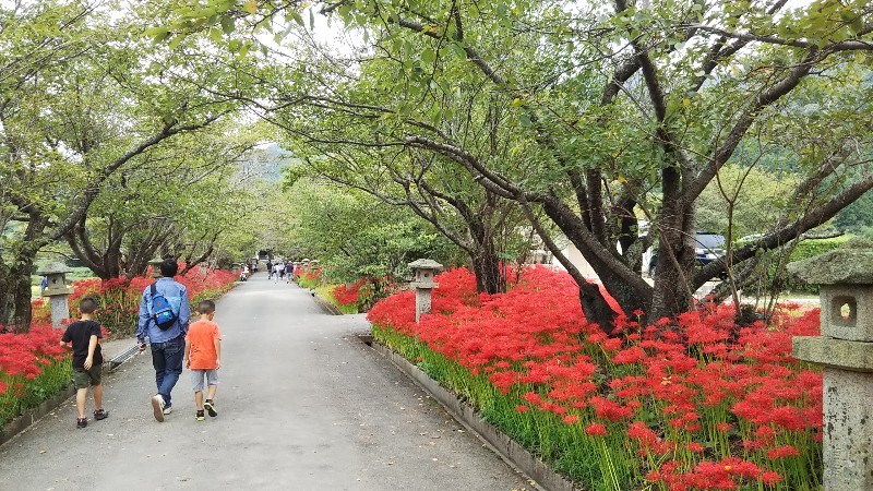 小鯖八幡宮