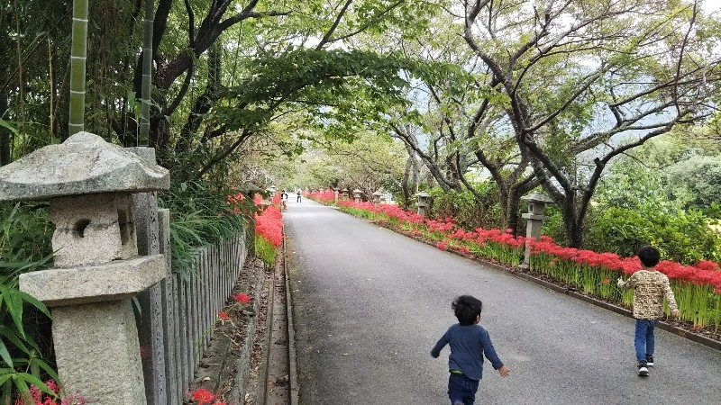 歩くだけある参道