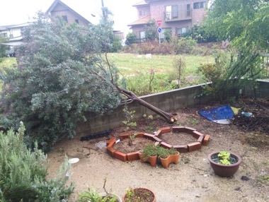 大型台風💨