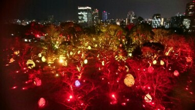 チームラボ  城跡の光の祭