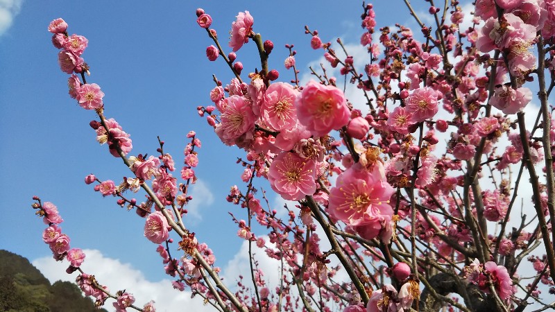 山口市県庁周辺