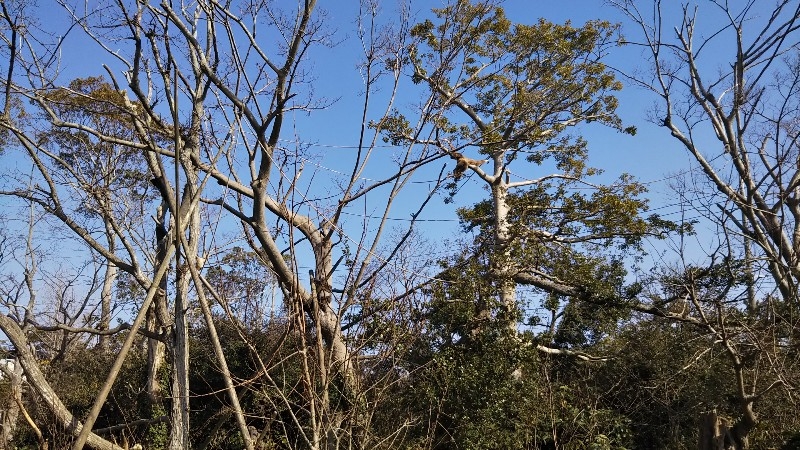 動物園では…