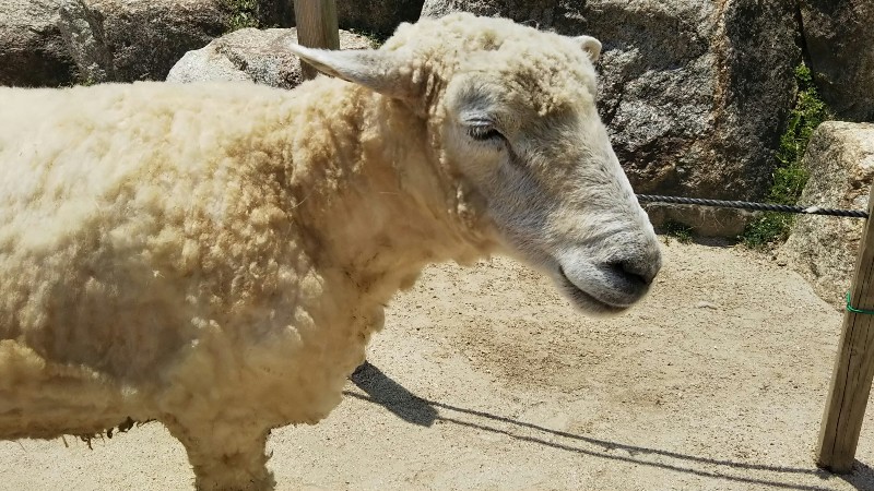 周南市徳山動物園